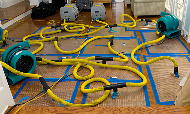 Professional Water Damage Restoration technician working in Urbana, IA